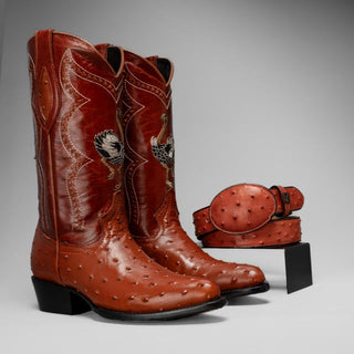 Shedron boot and belt combo