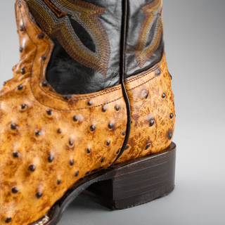 Buttercup boot and belt combo