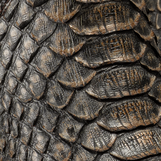 Men's Python Tribute Square Toe Ankle Boot