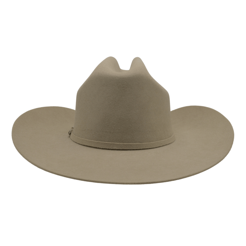 Load image into Gallery viewer, RC50X Cowboy Panter Felt Hat Silver Belly
