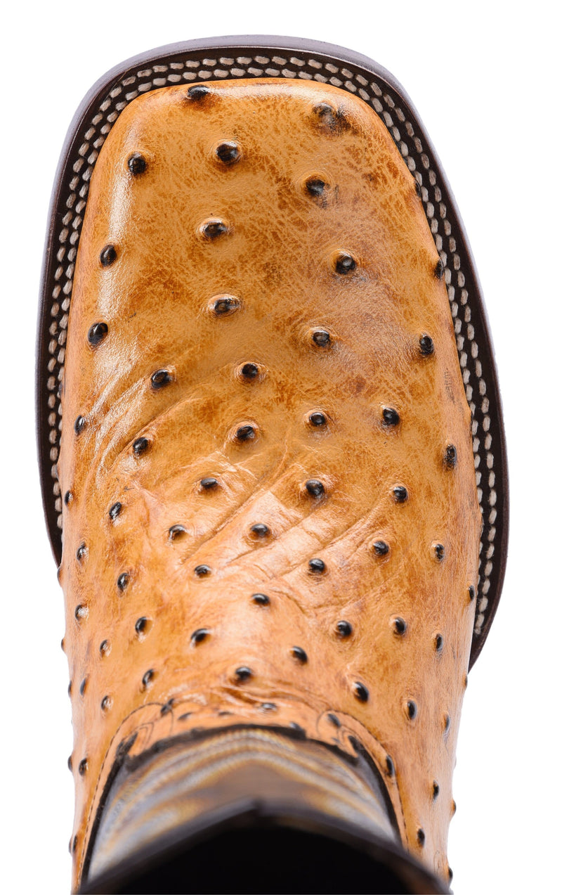 Load image into Gallery viewer, BD701 Combo Ostrich Print Leather Mantequilla
